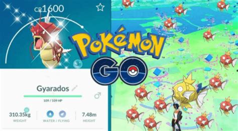 mega nest pokemon go coordinates|THE POKEMON NESTS FOR POKEMON GO .